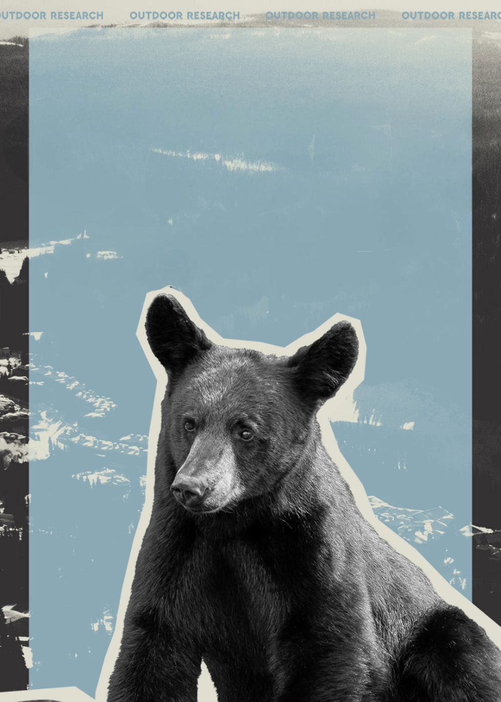 Graphic of a bear over a sky blue background.