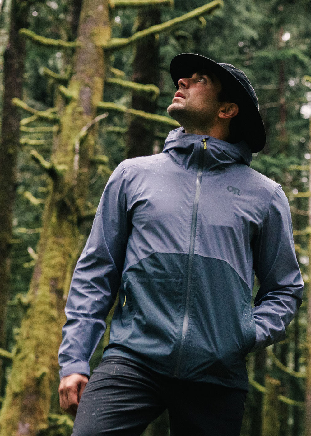 A man gazes at the mossy trees around him while out on a hike wearing Outdoor Research Outerwear.